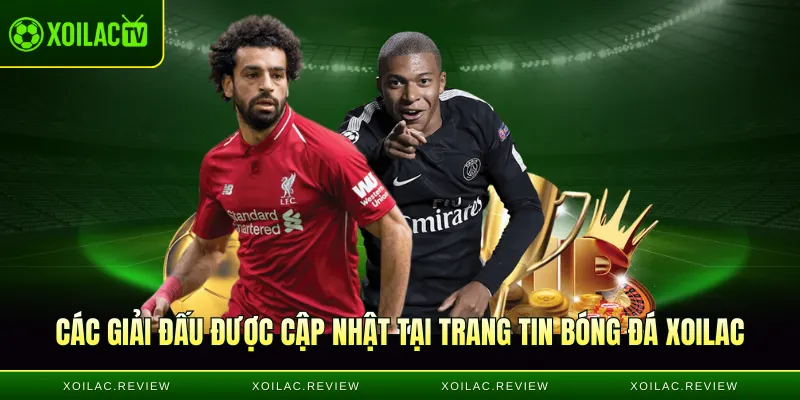 Các giải đấu được cập nhật tại trang tin bóng đá Xoilac